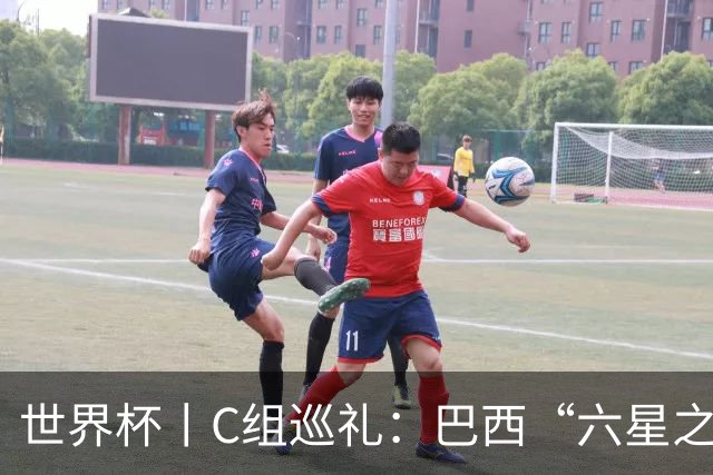 世界杯丨C组巡礼：巴西“六星之梦”再出发